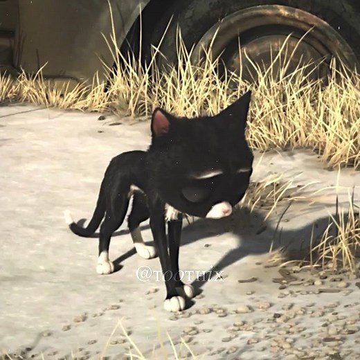 Bolt & Mittens | Bolt | #bolt #disneymovie #waltdisney #dog #dogs #shorts #edits #fyp