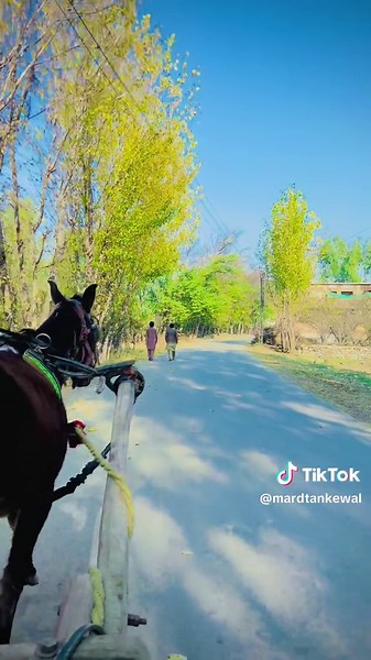 Understanding Creator Search Insights for Better Engagement