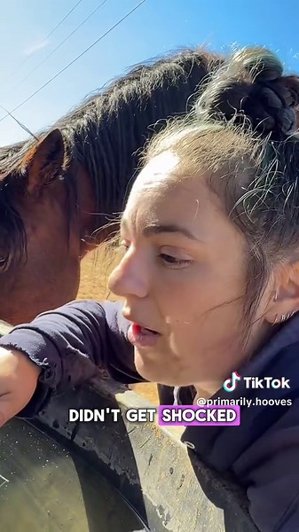 Part 1 #horseowner #naturalhoofcare #barefoothorse #horsehealth #farmlife