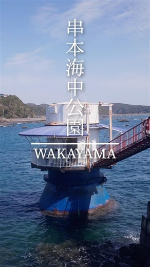 海の中を歩く体験⁉️ 串本海中公園 海中展望塔の絶景 | Walking Under the Sea in Japan | Kushimoto #串本海中公園 #海中展望塔 #串本