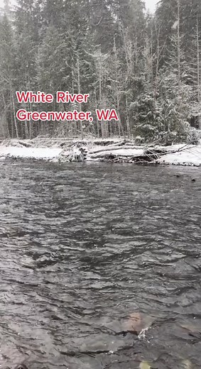 Didnt spit too many Facts in this one but it always fascinates me how the landscape was shaped by destruction yet it’s so beautiful #tahoma #rainier #pnw #volcano #mudflow #whiteriver #osceolamudflow