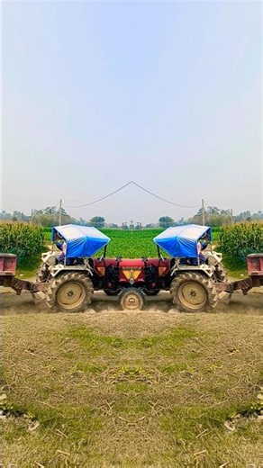 #tutorial #shortvideo