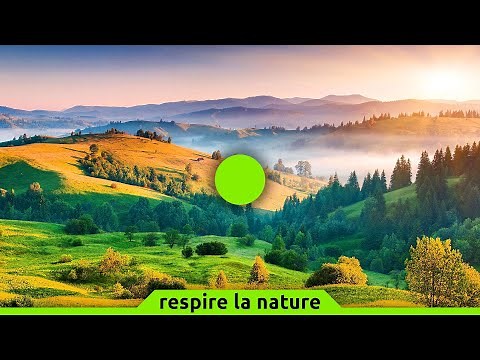 🟢 Cohérence cardiaque exercice n°141 | Nature paisible | 5 min