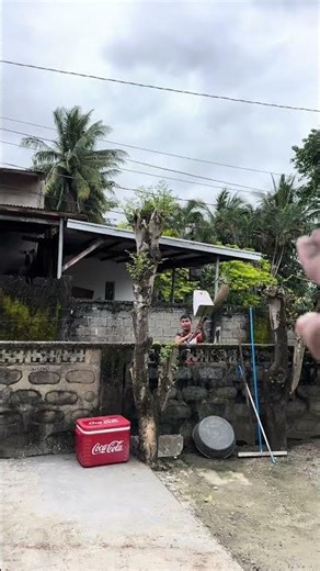 Techniques for making cloth