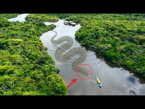 Most Dangerous Animals of Amazon rainforest | Strange Facts About Amazon Jungle