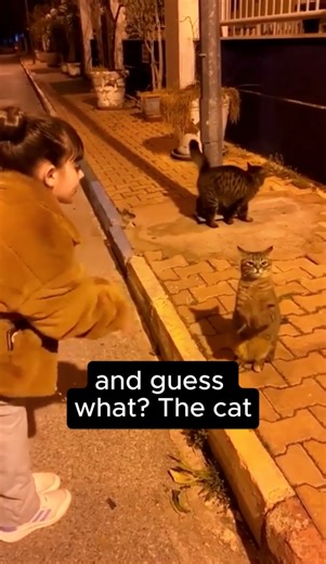 The Cutest Copycat You’ll Ever See! 😍🐱 #cat #copy #copycat #tiktok #fyp #fypシ #fypage #viralvideo #viraltiktok #funny #cute #trends #trending