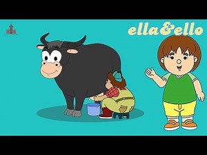 Mengenal Kerbau dan Sapi | Puri Animation