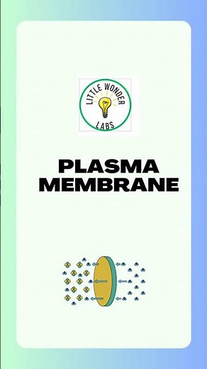Plasma Membrane Explained in 60 Seconds | NCERT Class 9 Science Chapter 5