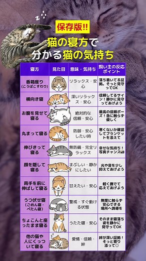 【保存版】猫の寝方で分かる猫の気持ち 【動画要約】 【寝方】 【意味・気持ち】 【飼い主の反応ポイント】 香箱座り（こうばこすわり） リラックス・安心 落ち着いてる証拠。そっと見守ってOK 横向き寝 深いリラックス・安心 信頼してるサイン！静かに見守ってあげよう お腹を見せて寝る 絶対的な信頼・安心 最高の信頼ポーズ！急に触らず優しく 丸まって寝る 防御・安心したい時 寒くないか確認してブランケットを添えて 伸びきって寝る 無防備・完全リラックス 幸せな気持ち！写真チャンス📸 顔を隠して寝る まぶしい・静かにしたい 光や音を少し抑えてあげよう 両手を前に伸ばして寝る 甘えたい・安心 軽く撫でて応えてあげよう うつ伏せ寝（ごめん寝・ぺたん寝） 警戒・すぐ動ける状態 無理に触らず安心できる場所へ誘導を ちょこんと座ったまま寝る うたた寝・安心 そのまま寝落ち姿を静かに見守ってOK 他の猫や人にくっついて寝る 愛情・信頼・絆 絆が深い証拠！そっと寄り添って◎ ━━━━━━━━━━━ 📣猫のこともっと知りたい！ 楽しく分かりやすくをモットーに情報発信しています😸 このアカウントをフォロー