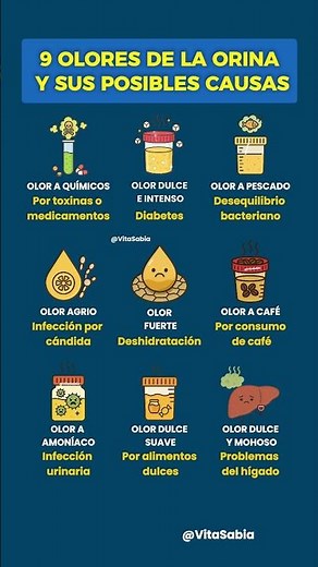 9 OLORES DE LA ORINA Y SUS POSIBLES CAUSAS