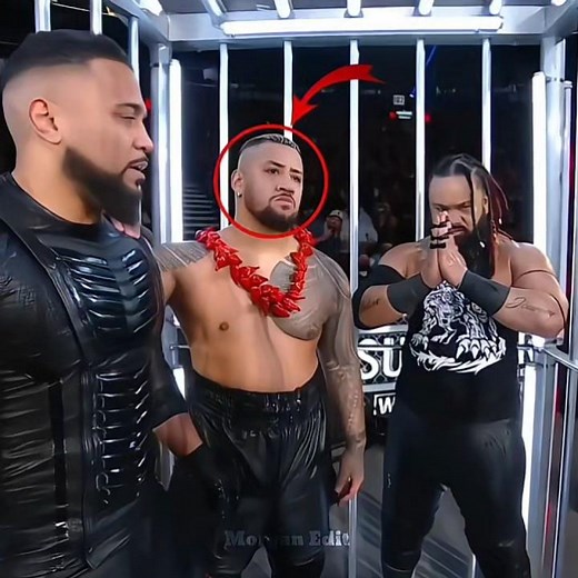 Roman Reigns and cm punk solo & destroy 😱 | #wwe #shorts
