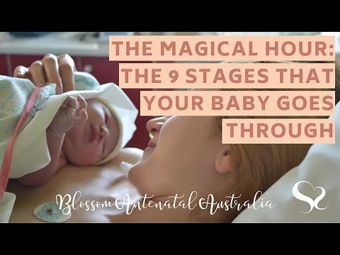 The Magical Hour After Birth & the 9 Stages Your Baby Goes Through