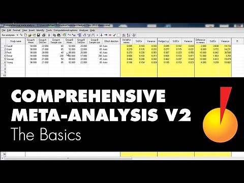 Comprehensive Meta-Analysis v2 - Introduction