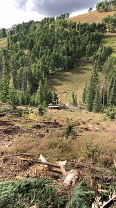 83 reactions · 3 comments | Tethered skidder on some steep wet ground pulling to the 855 with the D6 as an anchor for the Summit tether. #barcollc #tigercatforestry #tigercat #logging #logger #tigercat620d #tigercat855 #skidder #tetherlogging #lifeisgood | Ephraim Nyborg | Facebook