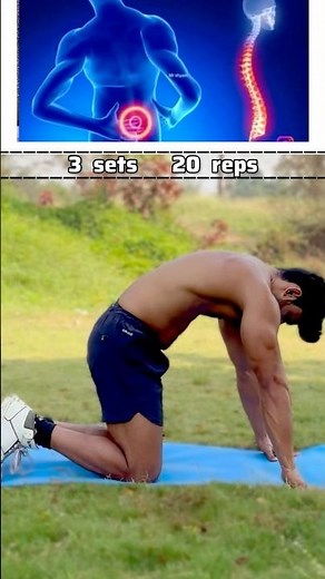 Cat-Cow exercise to improve spine mobility & lose belly #mobility #abs