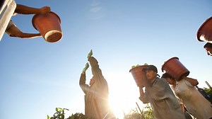 Food Chains Trailer (En Español)