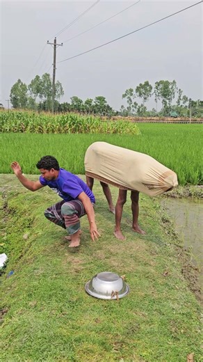 I went to fool my friend.66#funny