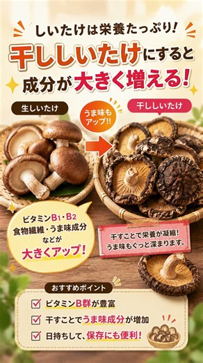 きのこを食べるならこれを知っておいて！