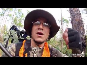 Hunting Big Cypress 4K
