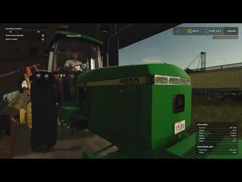 Feeding cattle 