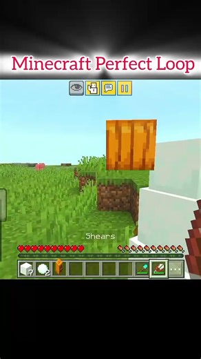 Minecraft Perfect Loop #youtubefeed #shorts