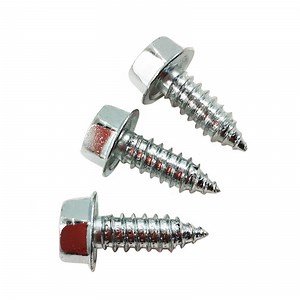 [Hot Item] Various Sizes Black Coating Pan Head Torx Drive Thread Forming Screw