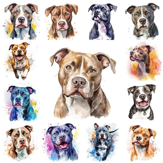 50 American Pitbull Terrier PNG Clipart Bundle, Watercolor American Pitbull Terrier Transparent Background Images, Commercial Use - Etsy