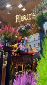 415 reactions · 20 shares | Open a free N26 bank account from your phone in just a few minutes: ✓ Spanish IBAN ✓ 0% paperwork ✓ 100% mobile | N26 | Facebook