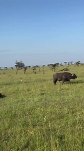 Great Image Expedition Ltd | Great Image Expedition