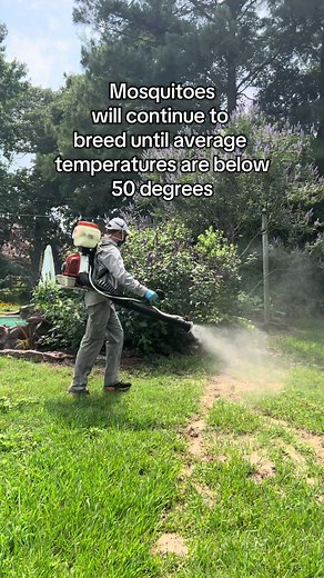 Protect Your Outdoor Fun from Texas Mosquitoes