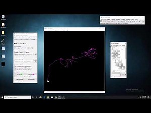 SNT: Analyzing Reconstructions