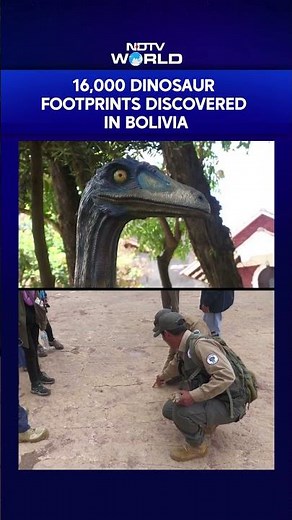 16,000 Fossil Footprints Of Dinosaurs Found In Central Bolivia