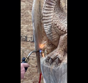 Artist carves a magnificent 6-ft dragon from a white pine log with chainsaw