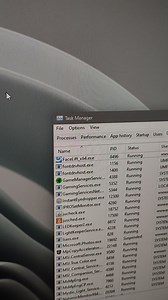 This is the weirdest ever Windows 11 bug I've ever seen.