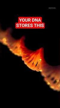 We're Literally Programming DNA Now 🧬 #dna #science #genetics