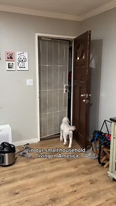 Growing up, Lunar New Year often felt like just another busy workday for us living in America. #ad Some years, my Dad would just pick up rice cakes from the Korean grocery store, and we’d take a couple bites together at night. This year, I wanted to celebrate those small celebrations we had with @jungkwanjang.us, a brand they have gifted to each other. #jungjwanjangpartner Comment GINSENG to check out Jung Kwan Jang’s Lunar New Year Collection (comes with traditional Korean wrapping cloth, bojag