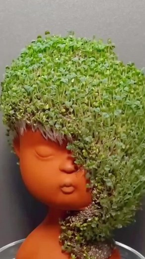Cómo plantar un cabello: guía completa y fácil