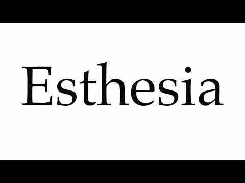 How to Pronounce Esthesia