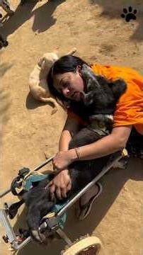 Cette femme sauve les chiens errants de sa ville