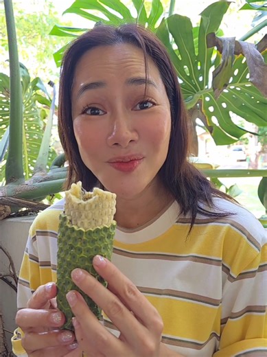 รอคอยมา1ปีได้กินสักที!!!!! โอ๊ยอร่อย 😍😍 #ผลมอนสเตอร่า #ผลไม้แปลก #tiktokพากิน #อร่อย รีวิวผลมอนสเตอร่า🍐☘️ อร่อยมากกกกกรสชาติเหมือนผลไม้รวมเทคเจอร์แบบน้อยหน่าฉ่ำเปรี้ยวหวานแบบสับปะรดอร่อยกรี๊ด!!! แต่ที่กรี๊ดกว่าคือทานตรงไม่สุกคันปากคันคอไปอีก555