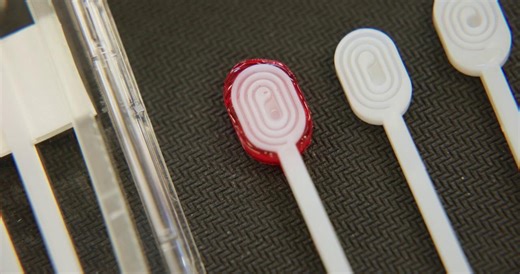 A strep throat test… but make it a strawberry lollipop. 🍓2019 Packard Fellow Ashleigh Theberge and her team at the University of Washington are creating gentler, at-home diagnostic tools — from a… | The David and Lucile Packard Foundation