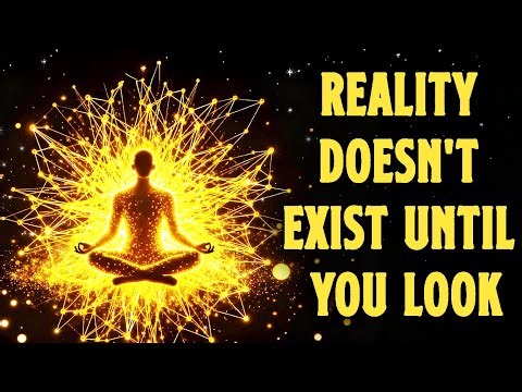 The Only Video You Need to Understand Quantum Consciousness | Observer Effect #17