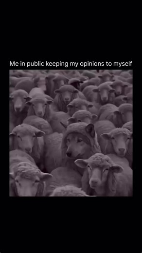 Nonchalant dog😐😔 Social pressures, comfort in conformity, and fear of being seen as odd often lead us to follow trends rather than question them. 🐑 That mindset even seeps into financial choices like buying insurance. 🚗🏠 Yet, if you are serious about building wealth, that kind of unexamined behavior can cost you. 💵 For example, Americans pay roughly 2,680 dollars per year for full coverage auto insurance, around 2,300 dollars annually for homeowners insurance, and health insurance premiums
