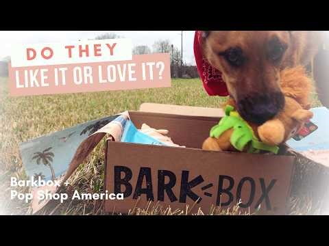 Real Dogs React to BarkBox 🐶 | Honest Unboxing + First Impressions
