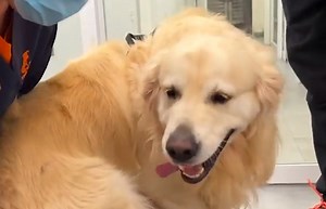 15K views · 286 reactions | We wouldn't believe it, if it wasn't recorded!  | Happiest | Facebook