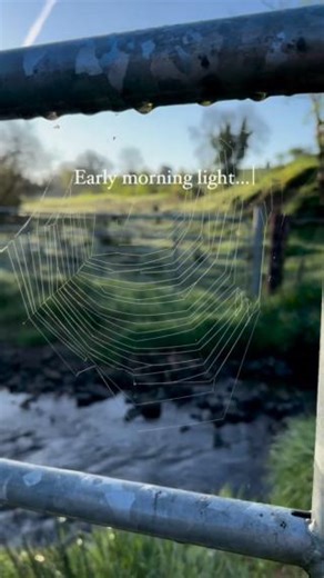 13K views · 182 reactions | Wake up with us in County Fermanagh ☀️ Our goal for summer 2024 is to enjoy more early morning sunrises just like these. Who’s joining us? Belleek, County Fermanagh  instagram.com/keenaghancottage/ | Tourism Ireland | Facebook