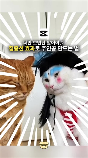 집중선 효과와 캡컷으로 시선강탈하기