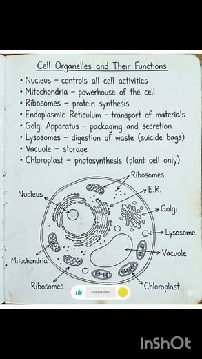 cell organelles and their functions #biology#mdcat#neet
