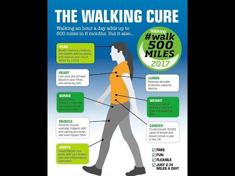 Your Personal Health Plan - 01