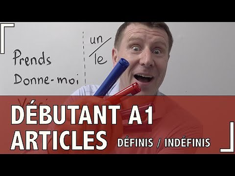 Delf A1 - DEBUTANT - Article défini et indéfini - exercice